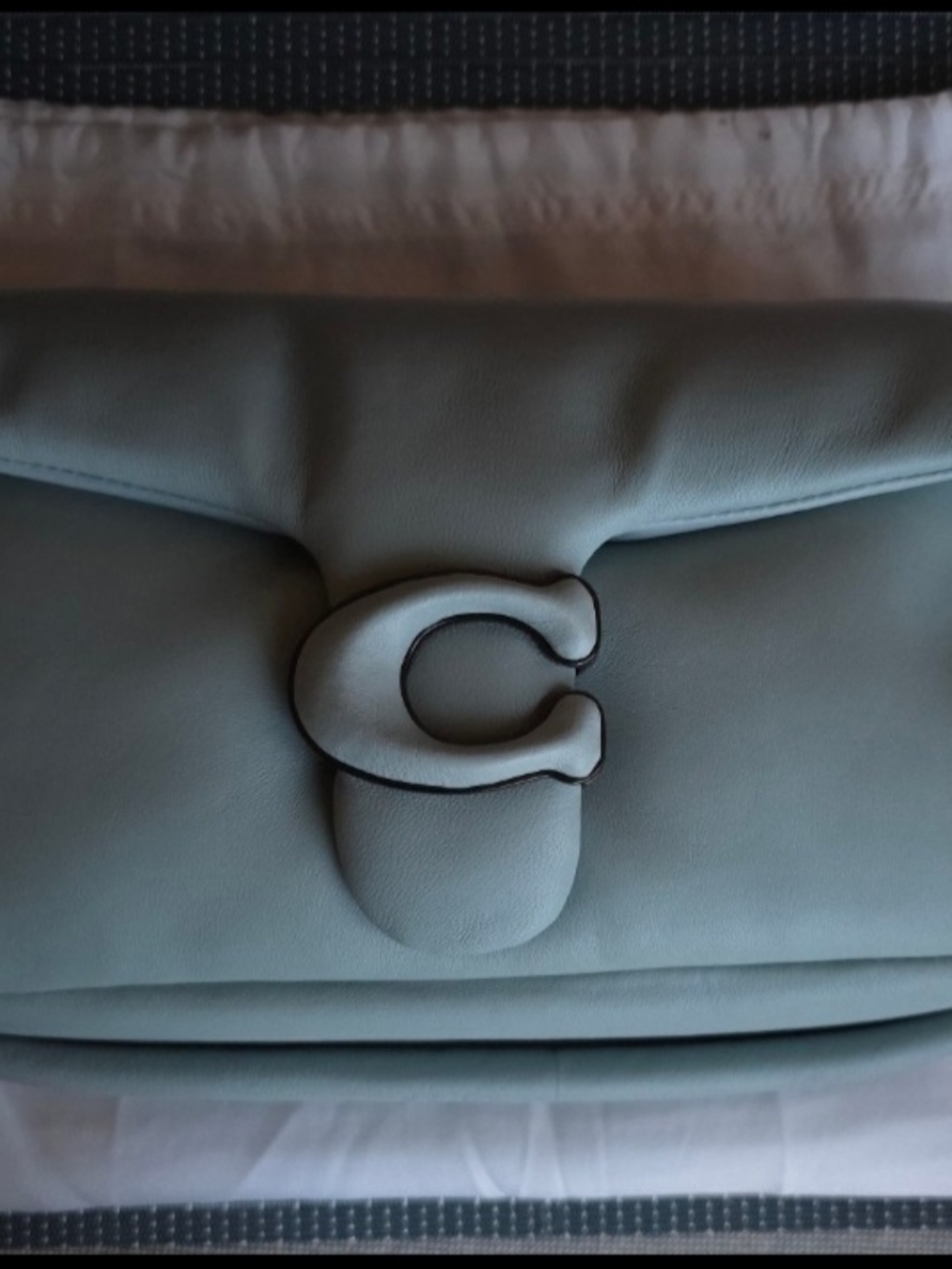 Coach Pillow Tabby 26 Aqua NWT